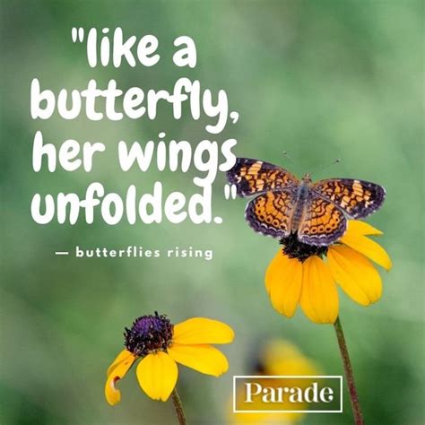 100 Butterfly Quotes - Parade: Entertainment, Recipes, Health, Life ...