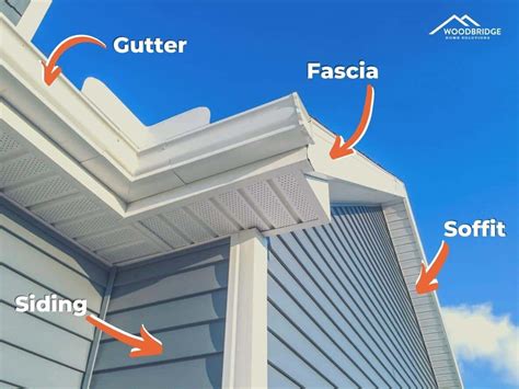 Why Soffit and Fascia Damage Shouldn’t Be Overlooked