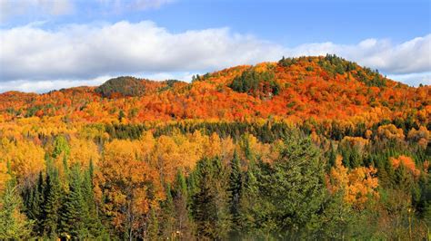 This Fall Foliage Map Of Quebec Shows Exactly When & Where To See ...