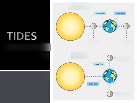 Spring and Neap Tide diagram Diagram | Quizlet