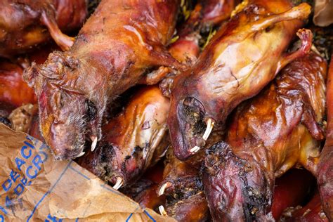 'Cuy,' Traditional Andean Food - Guinea Pig Feast in Cuzco, Peru