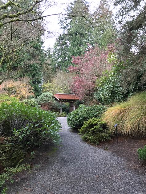 Bellevue Botanical Garden - Mon Petit Seattle