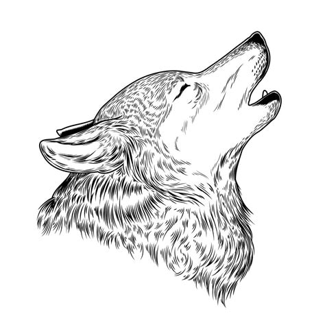 Vector illustration of a howling wolf - Download Free Vector Art, Stock ...