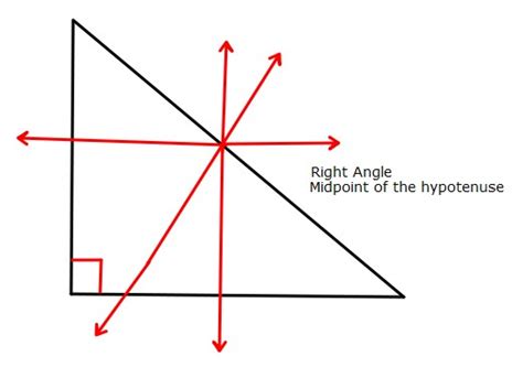 Where can the perpendicular bisectors of the sides of a right triangle ...