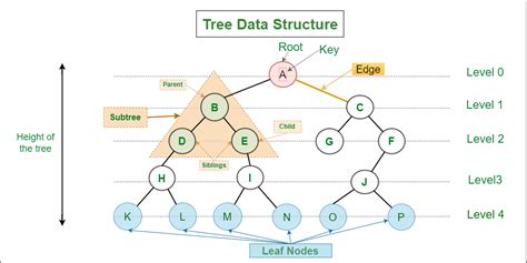 Introduction to Binary Tree - Data Structure and Algorithm Tutorials ...