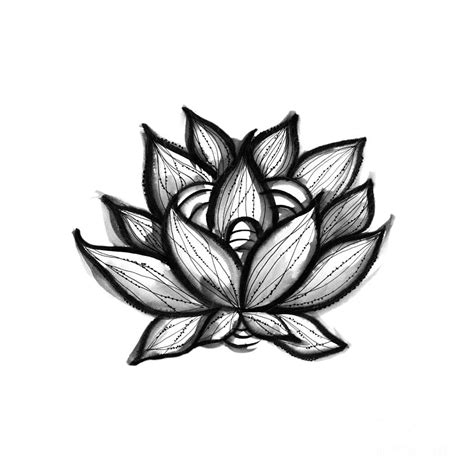 Black and White Ink Drawing Lotus Flower #5 Drawing by Simona Fava ...