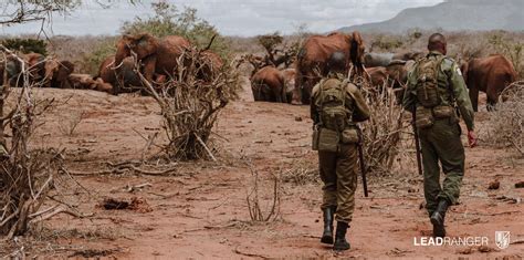 Our new Wildlife Ranger Training Centre is a game-changer for regional ...