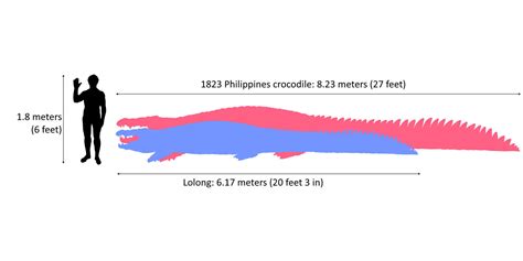 Crocodile bigger than Lolong? [1823 Philippines Crocodile] - Our Planet