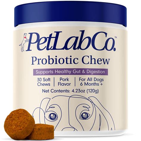 Buy PetLab Co. Probiotics for Dogs - Support Gut Health, Itchy Skin ...