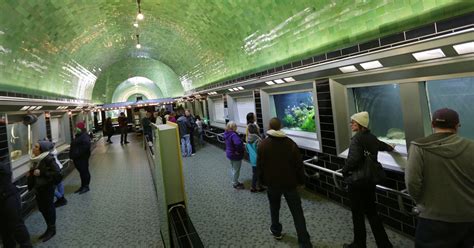 Once a speakeasy, Detroit's Belle Isle Aquarium hides two exotic fish