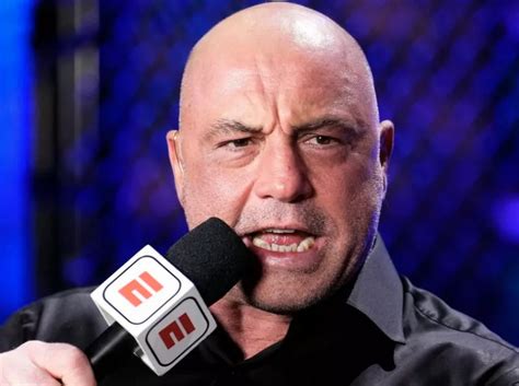 Joe Rogan Advises MMA Fighters To Join UFC For Career Boost