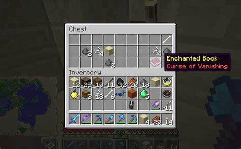 Curse of Vanishing Guide: What Does Curse Of Vanishing Do In Minecraft?