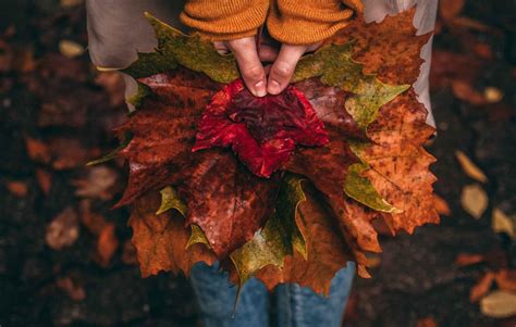 Guide to Minnesota's Best Fall Colors | Parks & Trails