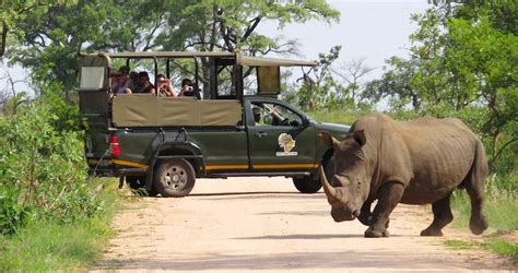 Full Day Kruger - 1 day Safari Excursion