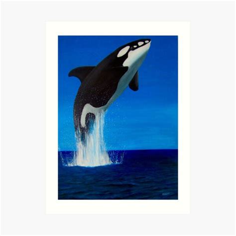 Breaching Whale Art Prints | Redbubble