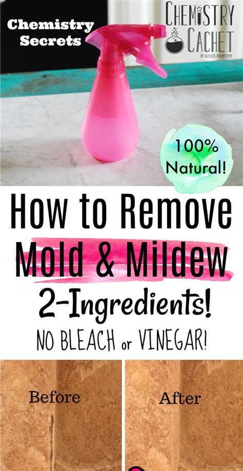 The Best Way to Remove Mold & Mildew with 2 Ingredients (NO Bleach!)