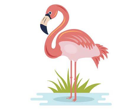 pink flamingo stands on the shore and catches fish. bird character in ...