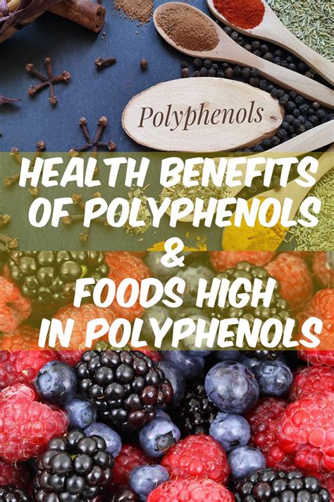 Why Are Polyphenols Good For You? Health Benefits Of Polyphenols in ...