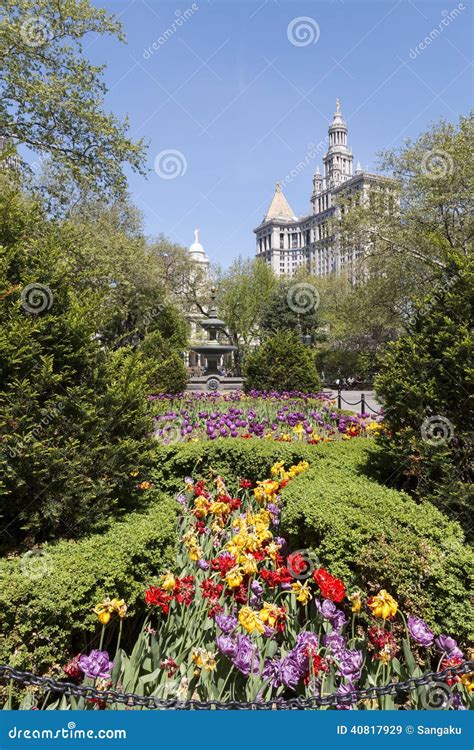 New York City Hall Park stock image. Image of america - 40817929