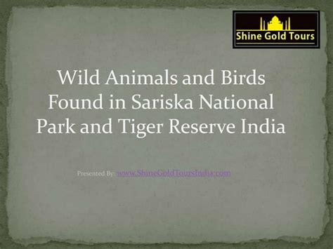 Wild Animals and Birds Found in Sariska National Park | PPT | Free Download