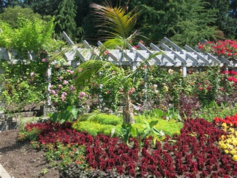 Rose Garden in Stanley Park, Vancouver, BC, Canada