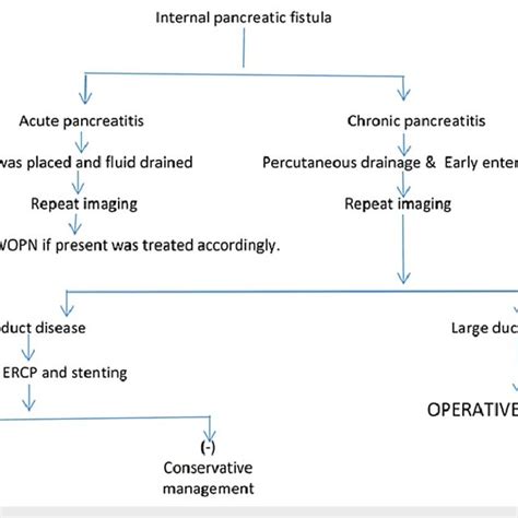 The treatment algorithm. WOPN: walled-off pancreatic necrosis; PCD ...