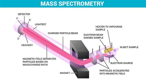 Mass spectrometry (MS) - Application, Instrumentation & Applications of ...