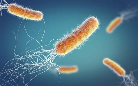 How does Pseudomonas aeruginosa Affect the Pharma Industry ...