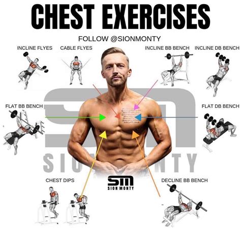 10 Best Chest Exercises For Building Muscle - GymGuider.com ...