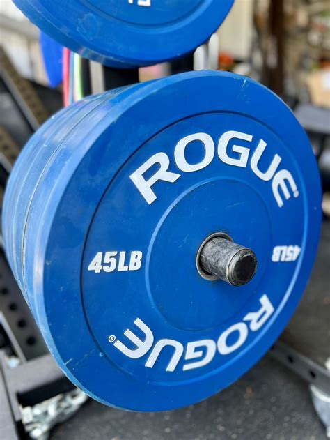 Rogue Fitness Color Echo Bumper Plates - 45 Lbs. Two pairs (4 total ...