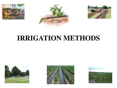 PPT - IRRIGATION METHODS PowerPoint Presentation, free download - ID ...