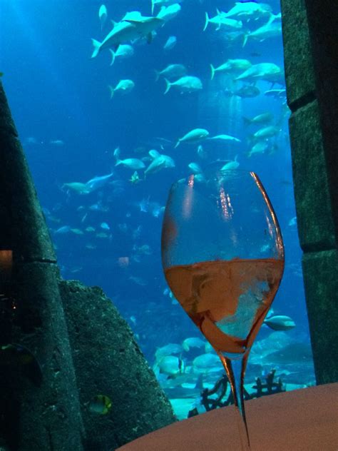 At Ossiano Atlantis The Palm | Dubai travel, Trip, Dubai