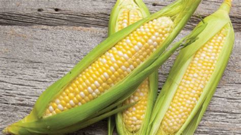 Growing and Harvesting Sweet Corn - Growing Magazine