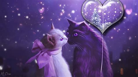 🔥 [80+] Valentine Cat Wallpapers Free | WallpaperSafari