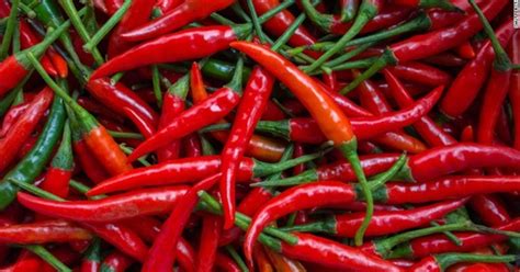 Hot and Spicy Foods From All Over the World