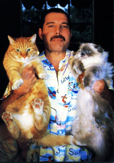 20 Vintage Photos Of Freddie Mercury And His Cats That Show His Love ...