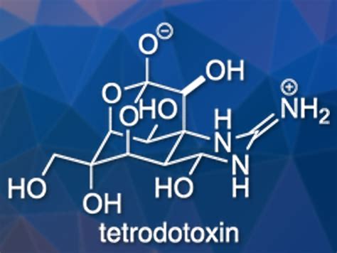 Total Synthesis of Tetrodotoxin - ChemistryViews