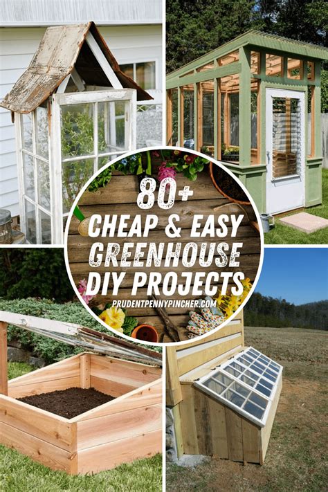 80 Cheap and Easy DIY Greenhouse Ideas - EU-Vietnam Business Network (EVBN)