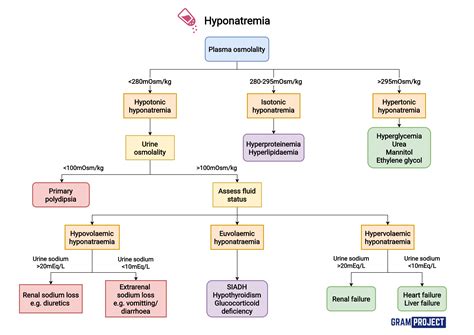 Hyponatremia Differential Diagnosis Algorithm Adh Grepmed | The Best ...