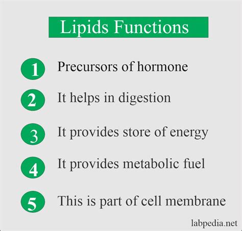 A Function of Lipids Include S Which of the Following