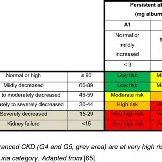 Prognosis of chronic kidney disease (CKD) by glomerular filtration rate ...