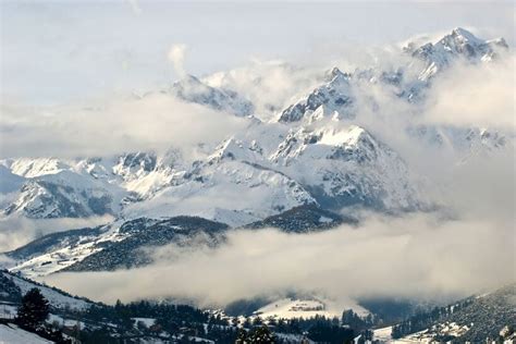 Wildlife in the Cantabrian Mountains