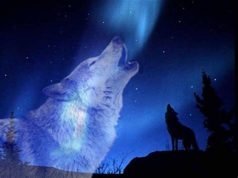 Wolf Howling At The Moon Wallpapers - Wallpaper Cave