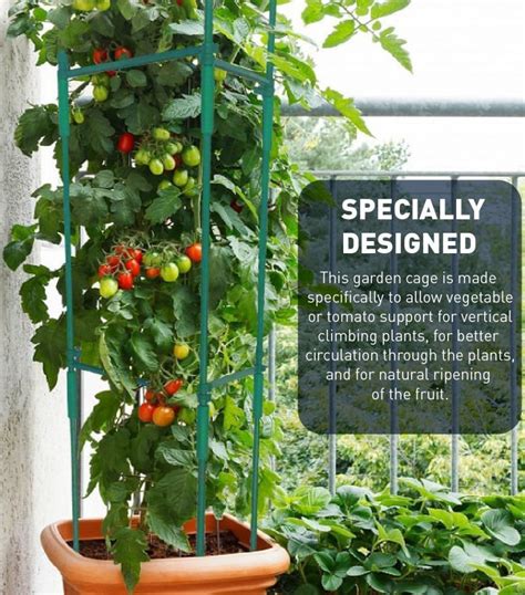 26 best ideas for coloring | Tomato Plant Cages