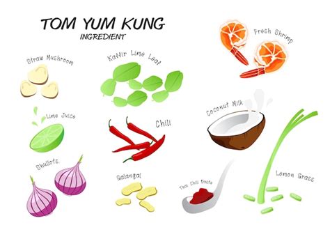 Premium Vector | Tom yum kung ingredient