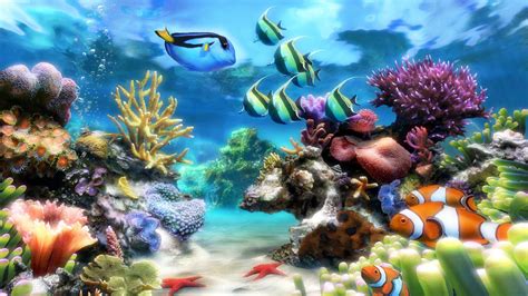 Aquarium Live Wallpaper for PC (55+ images)