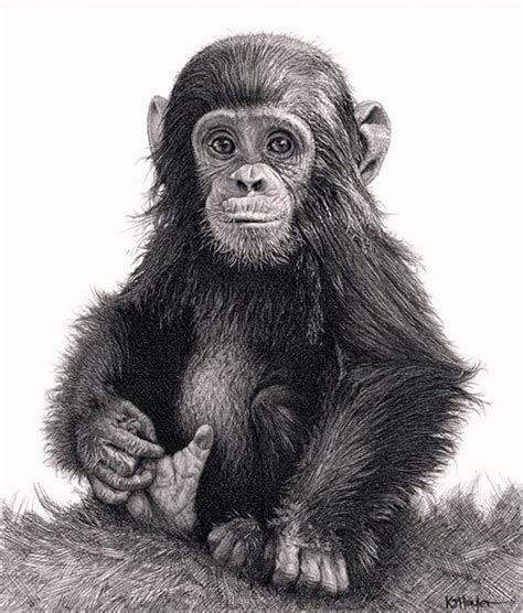 How To Draw Realistic Baby Animals