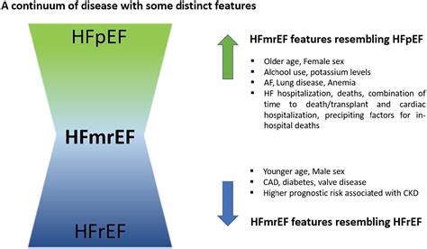 Heart failure with mid‐range ejection fraction: pro and cons of the new ...