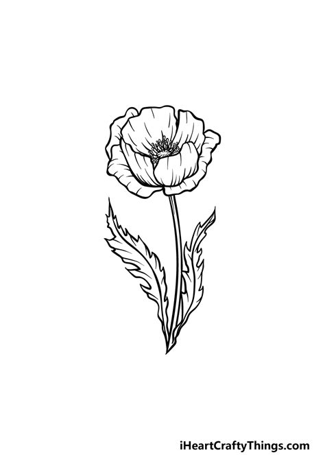 Poppy Flower Outline Drawing - Home Alqu