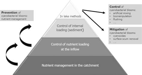 Prevention, control and mitigation measures for cyanobacterial blooms ...